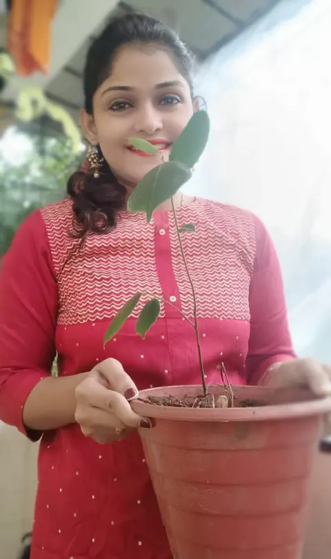 Tree Plantation 2022 – Mumbai – Head Office