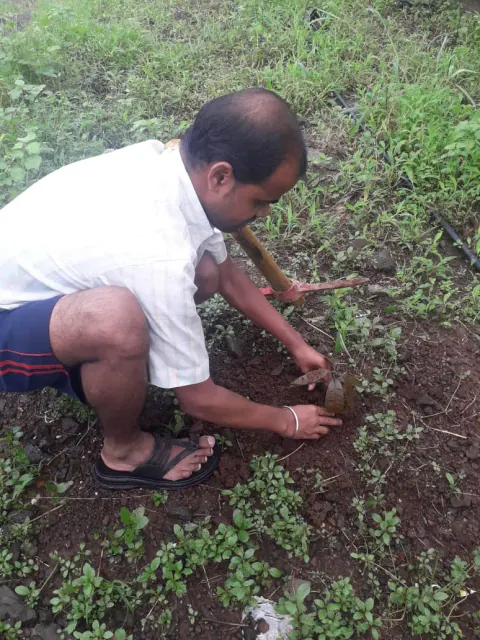 Tree Plantation 2022 – Mumbai – Head Office