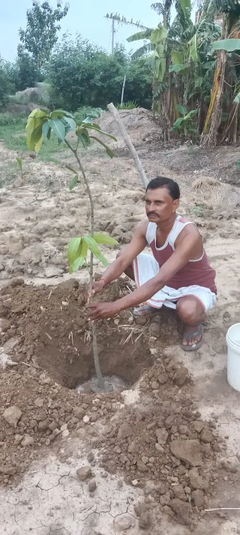 Tree Plantation 2022 – Patna