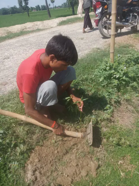Tree Plantation 2022 – Patna