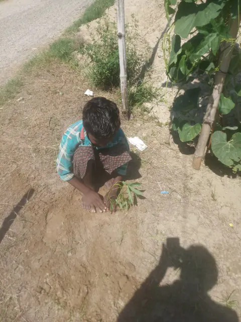Tree Plantation 2022 – Patna