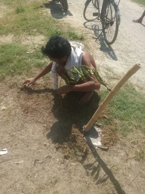 Tree Plantation 2022 – Patna