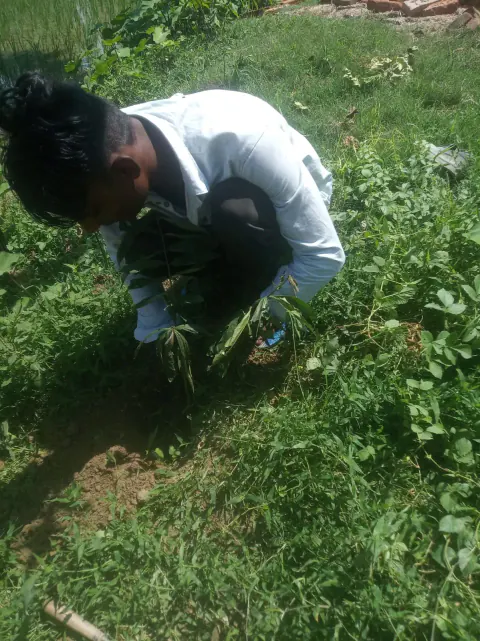 Tree Plantation 2022 – Patna