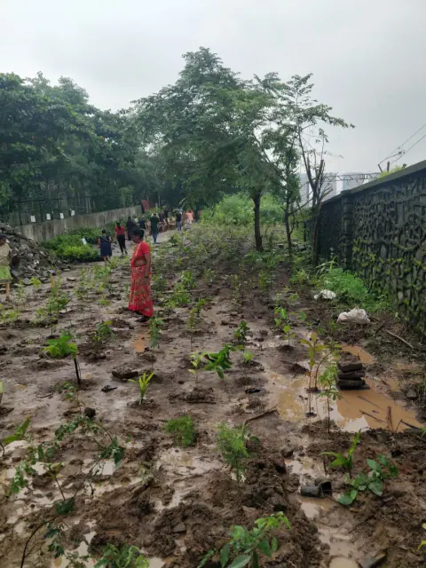 Tree Plantation 2022 – Trichy
