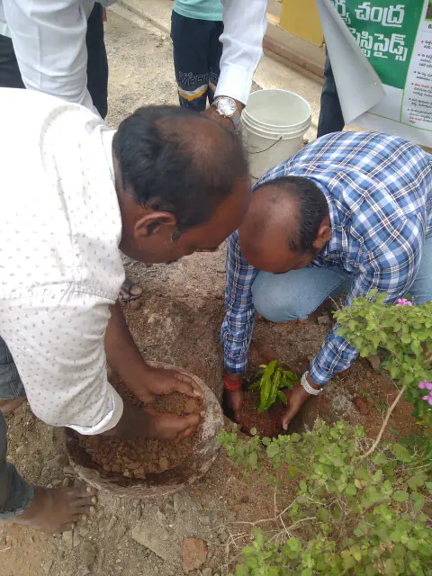 Tree Plantation 2023 – Andhra Pradesh & Telangana