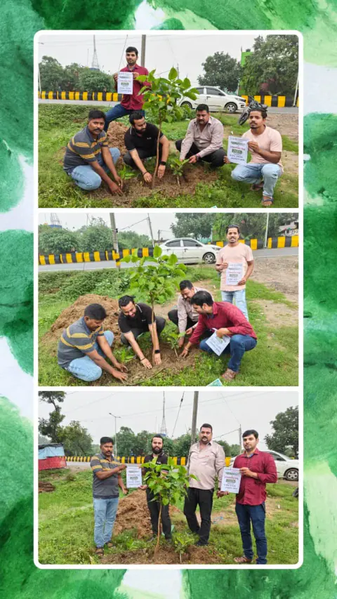 Tree Plantation 2023 – Bihar