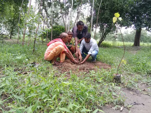 Tree Plantation 2023 – Bihar