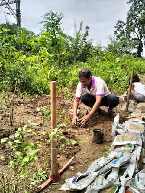 Tree Plantation 2023 – Ghatkopar