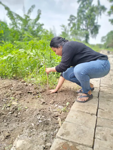 Tree Plantation 2023 – Ghatkopar