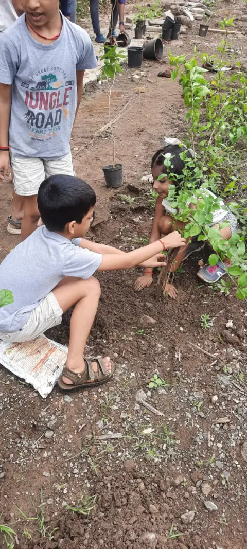 Tree Plantation 2023 – Ghatkopar