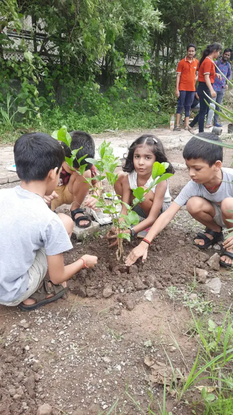 Tree Plantation 2023 – Ghatkopar