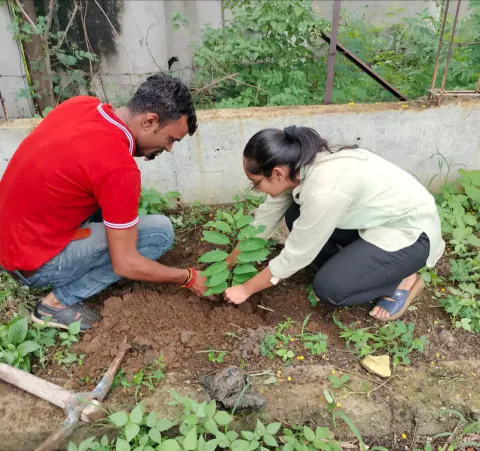 Tree Plantation 2023 – Indore