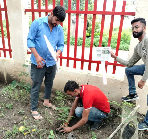 Tree Plantation 2023 – Indore