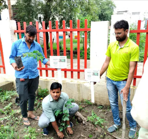 Tree Plantation 2023 – Indore