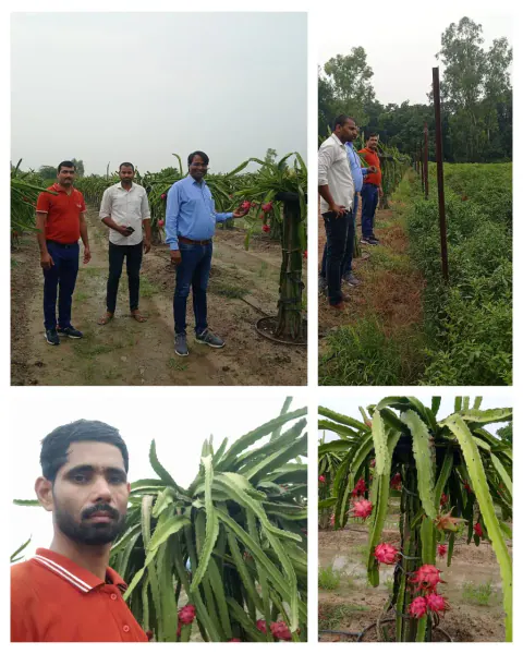 Tree Plantation 2023 – Indore