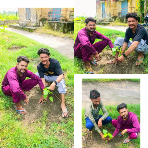 Tree Plantation 2023 – Karnal