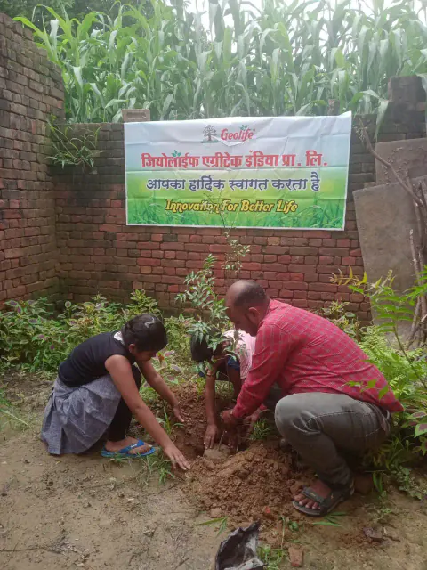 Tree Plantation 2023 – Karnal