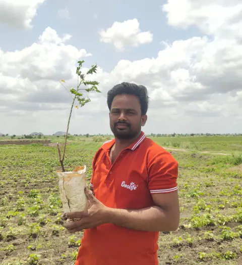 Tree Plantation 2023 – Karnataka
