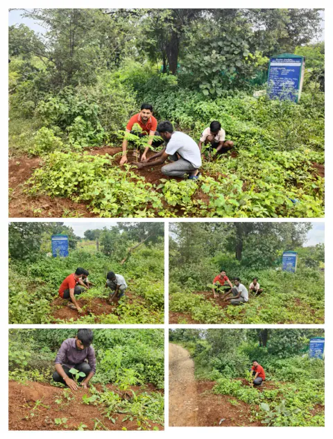 Tree Plantation 2023 – Lead Crop Science