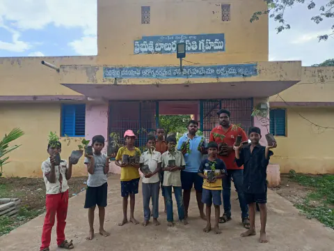 Tree Plantation 2023 – Lead Crop Science