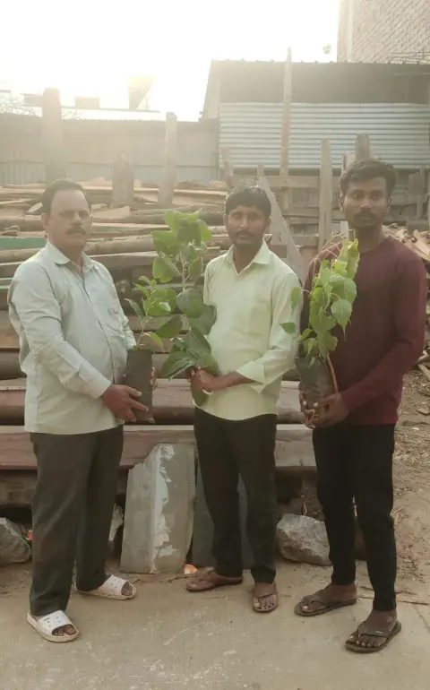 Tree Plantation 2023 – Lead Crop Science