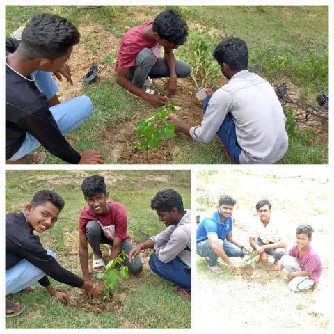 Tree Plantation 2023 – Lead Crop Science