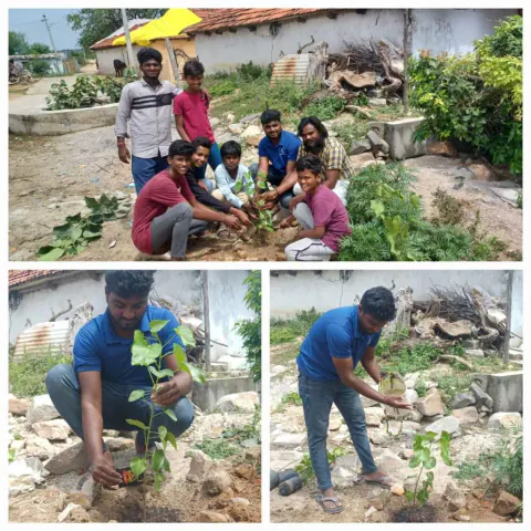 Tree Plantation 2023 – Lead Crop Science