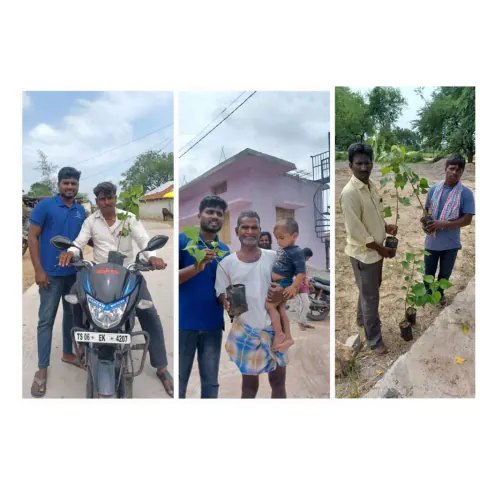 Tree Plantation 2023 – Lead Crop Science