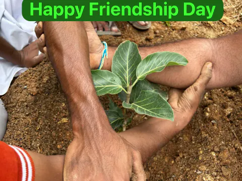 Tree Plantation 2023 – Lead Crop Science