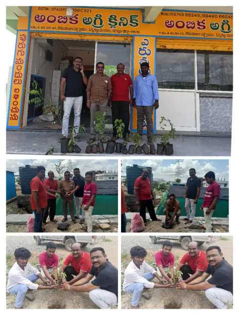 Tree Plantation 2023 – Lead Crop Science