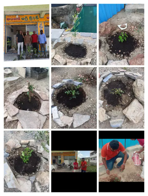 Tree Plantation 2023 – Lead Crop Science