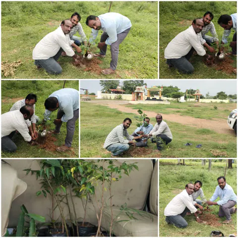 Tree Plantation 2023 – Lead Crop Science