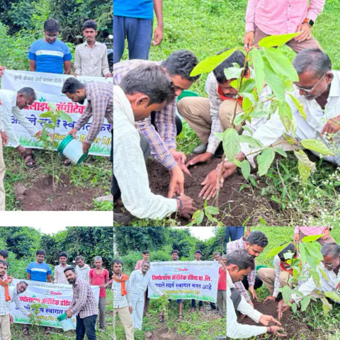 Tree Plantation 2023 – Maharashtra