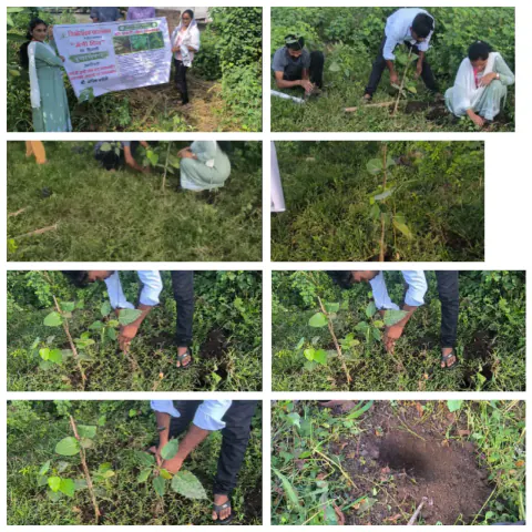 Tree Plantation 2023 – Maharashtra