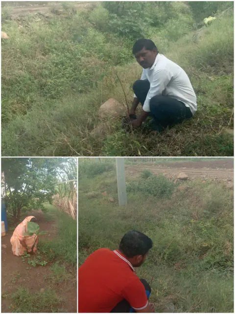 Tree Plantation 2023 – Maharashtra