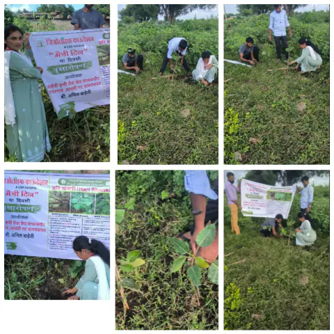 Tree Plantation 2023 – Maharashtra