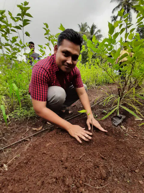 Tree Plantation 2023 – Mumbai – Head Office