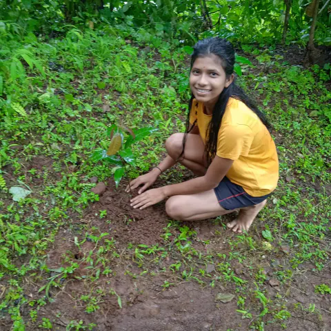 Tree Plantation 2023 – Mumbai – Head Office