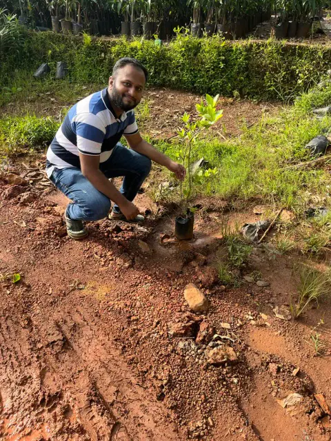 Tree Plantation 2023 – Mumbai – Head Office