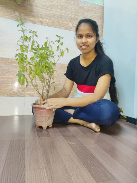 Tree Plantation 2023 – Mumbai – Head Office