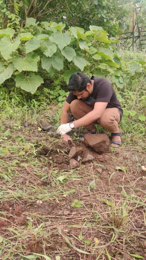 Tree Plantation 2023 – Mumbai – Head Office