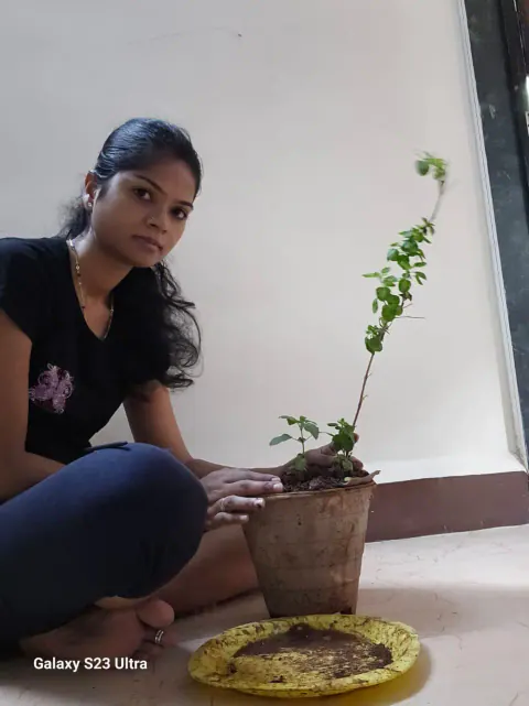 Tree Plantation 2023 – Mumbai – Head Office