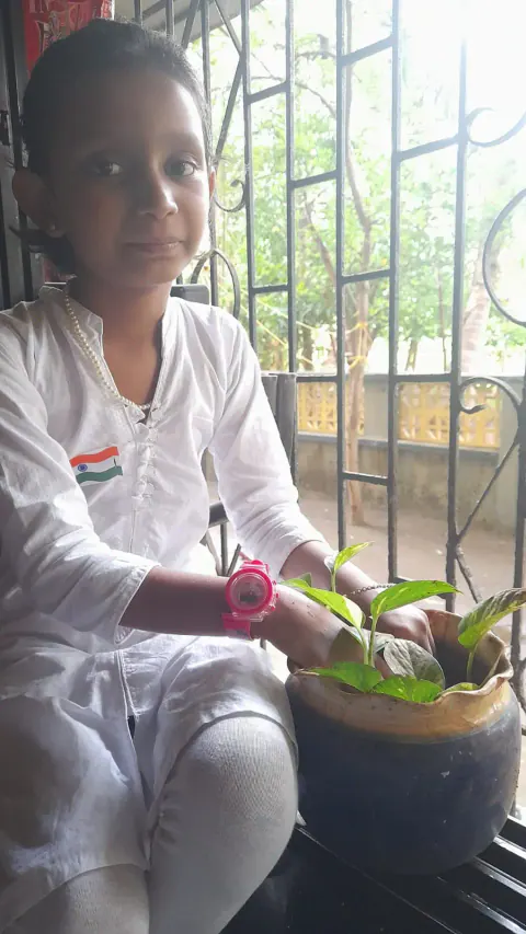 Tree Plantation 2023 – Mumbai – Head Office