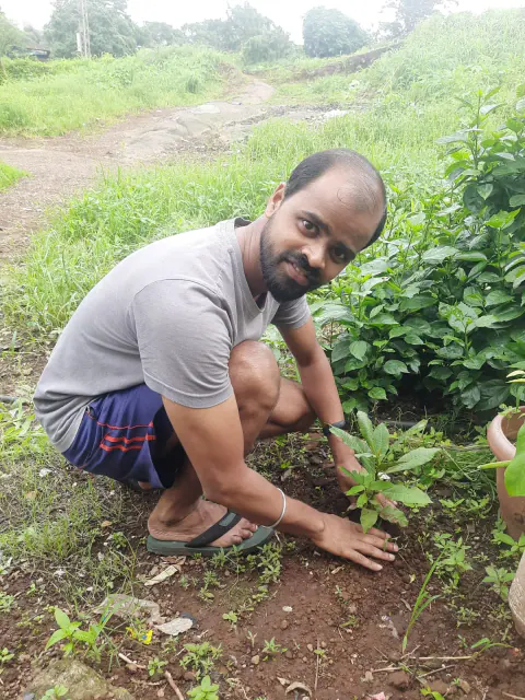 Tree Plantation 2023 – Mumbai – Head Office