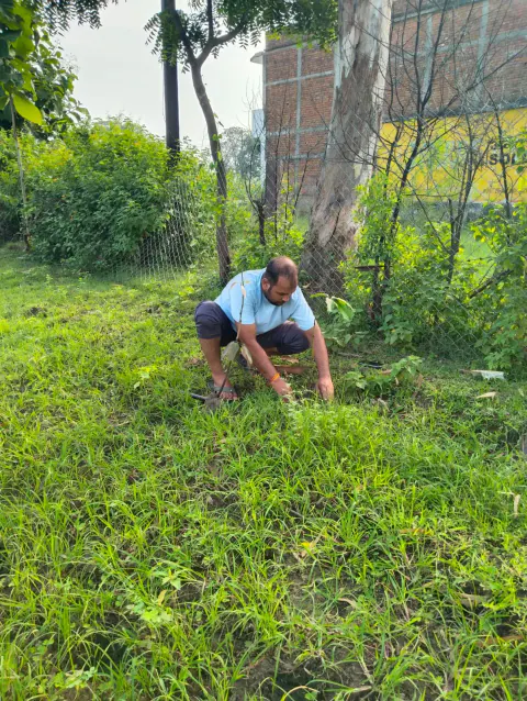 Tree Plantation 2023 – Odisha