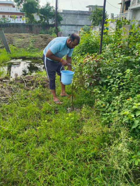 Tree Plantation 2023 – Odisha