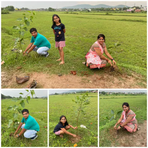 Tree Plantation 2023 – Odisha