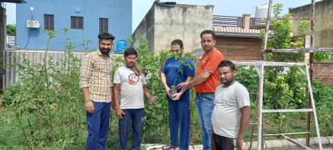 Tree Plantation 2023 – Punjab