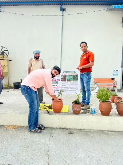 Tree Plantation 2023 – Punjab