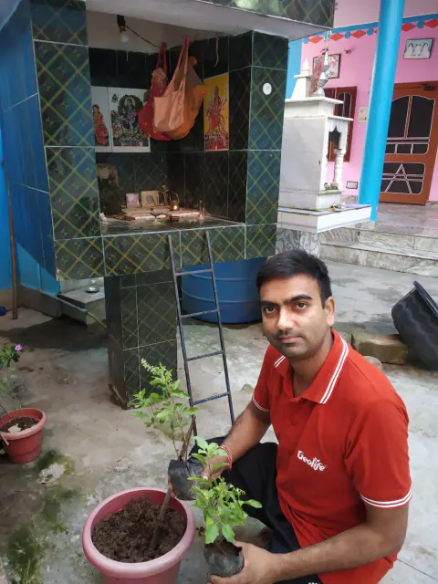 Tree Plantation 2023 – Punjab